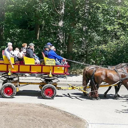 Haus Hohe Geest Hg05 Cuxhaven