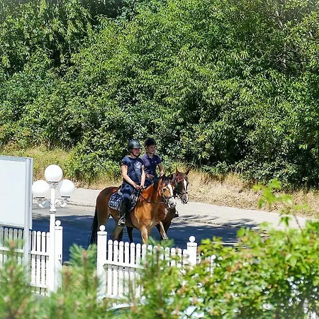 Haus Hohe Geest Hg05 *