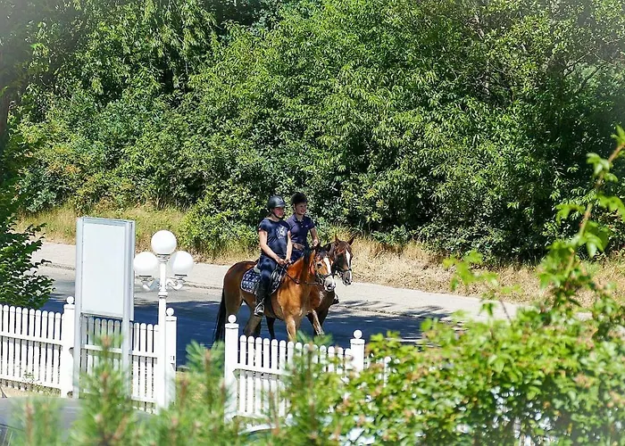 Haus Hohe Geest Hg05 *